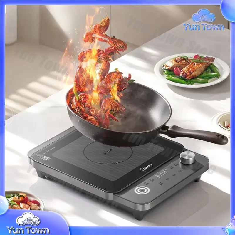 Induction Cooker for Home Use  - Induction Cooktop Portable 评论和价格