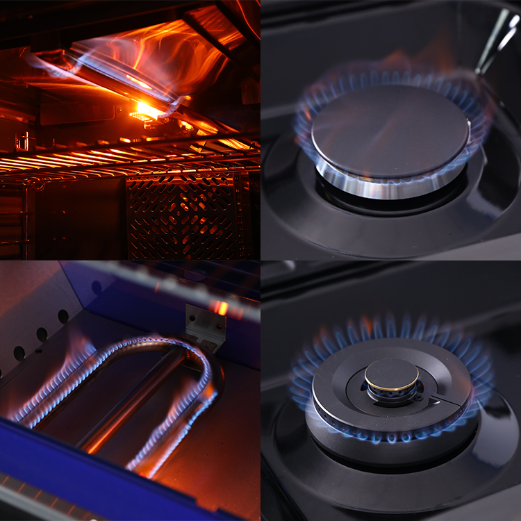 Professional High-End Free-Sta - Kitchen Appliances High End 评论和价格
