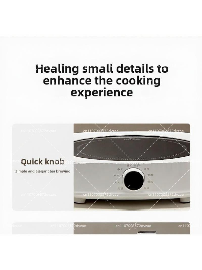 Electric Ceramic Stove Smart I - Induction Cooktop Portable 评论和价格