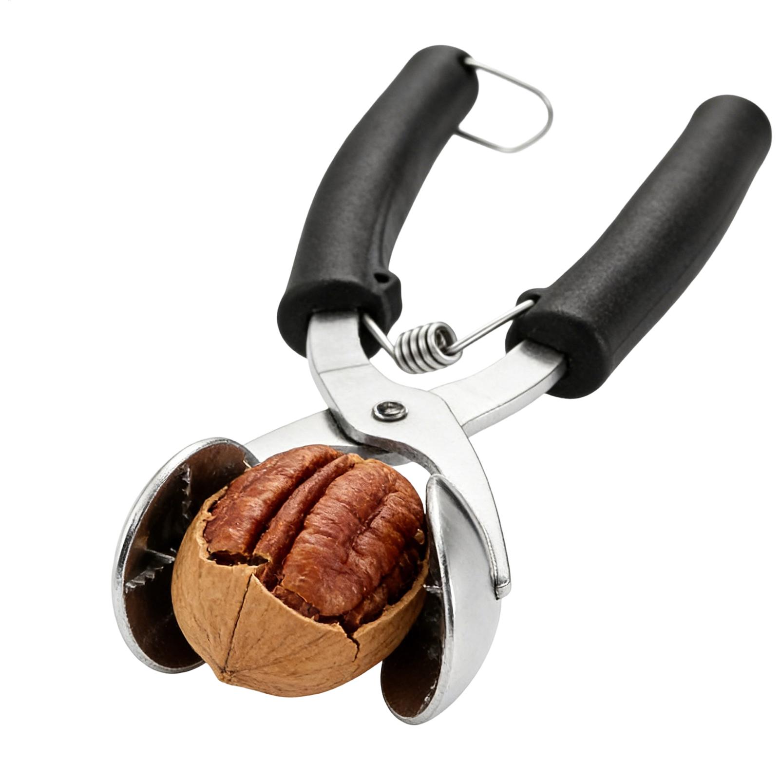 Stainless Chestnut Machine Kit - Kitchen Appliances Gift 评论和价格