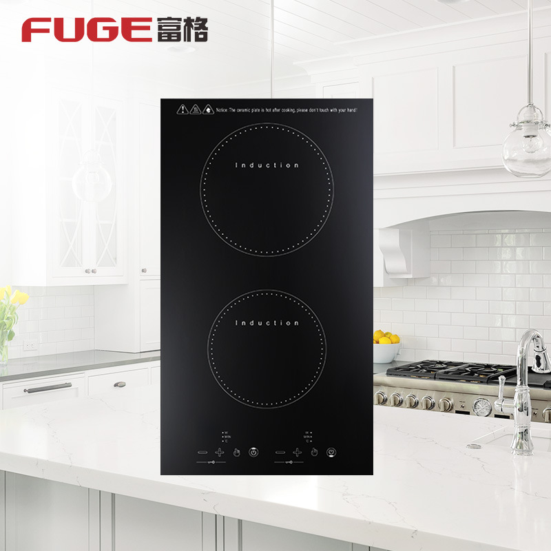 AOLIVIYA High Power Double Bur - Induction Cooktop Portable 评论和价格